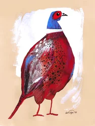 Faisan rouge vif