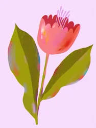 Fleur rose éclatante