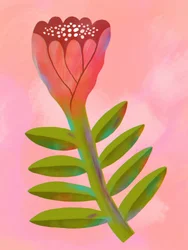 Rose vif et motifs botaniques