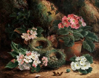 Fleurs de pommes et primeveres. Peinture de Oliver Clare (vers 1853-1927) Collection privee.