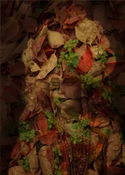Reine des feuilles, 2025 (technique mixte numérique)