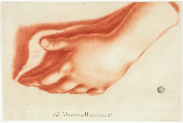 Moulage en plâtre de la main gauche