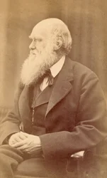 Portrait de Charles Darwin à 72 ans, vers 1871