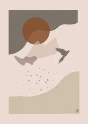 Oiseau en vol, Soleil du désert