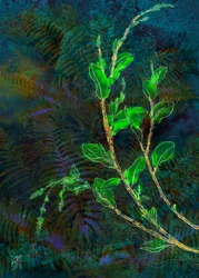 Feuillage de la forêt lumineuse