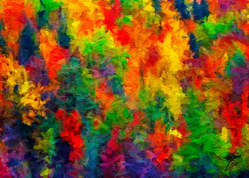 Une explosion de couleurs joyeuses