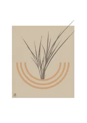 Arche botanique minimaliste