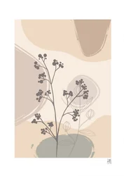 Plantes naturelles aux teintes douces