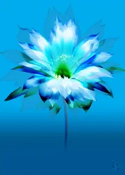 Fleur bleu vif