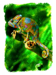 Caméléon de la jungle aux couleurs vives