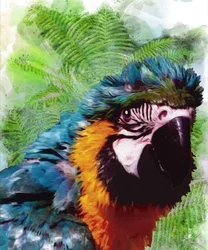 Portrait d