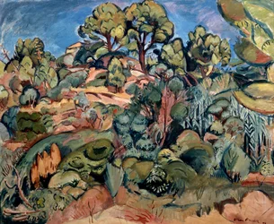 Arbres à Cassis