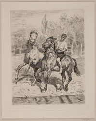 Les chevaux sont arrosés