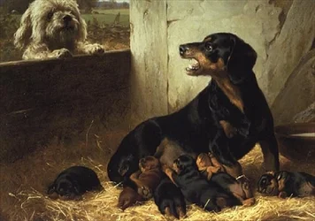 Le visiteur indésirable