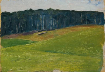 Prairie vert clair contre lisière de forêt sombre