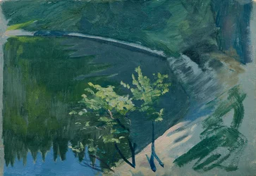 Coin de lac près du Berghof