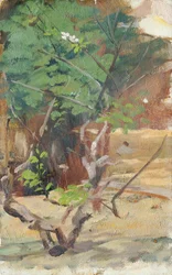Jeune arbre ramifié avec deux fleurs