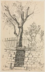 Arbre sur un mur de pierre, Cleveland