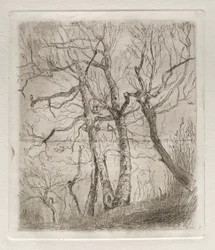 Arbres