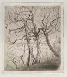Bois près du lac, 1878