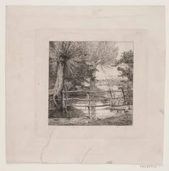 Saules près d