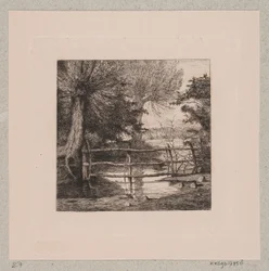 Saules près d
