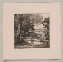 Saules près d