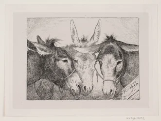 Trois têtes d