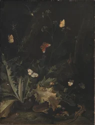 Un Sol Forestier avec un Chardon, un Serpent, un Lézard et des Papillons