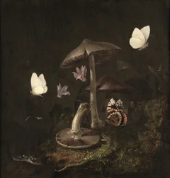 Un "sotto bosco" avec des champignons, des papillons, une libellule, un serpent et un lézard (huile sur toile)