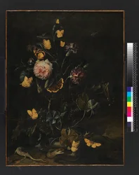 Fleurs, insectes et reptiles, 1673