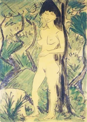Nu dans la forêt