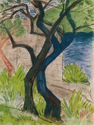 Arbres devant un pont