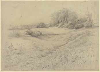 Paysage forestier près de Kronberg
