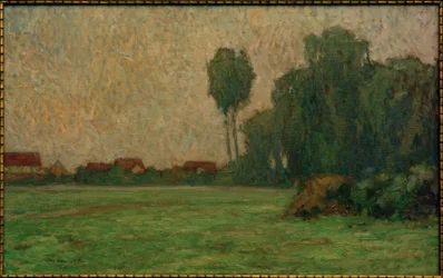 Brouillard sur le pré