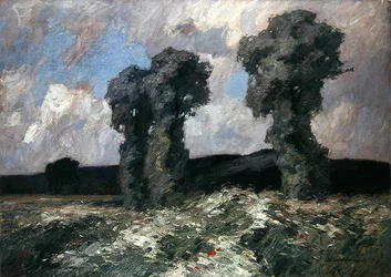 Saules dans la Vallée de la Lahn