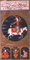 SUF. TURE 242 Bélier