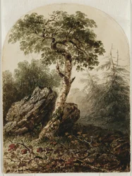 Paysage avec bouleau, 1859