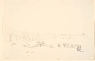 Vaches dans le champ, en arrière-plan le moulin de Tagens