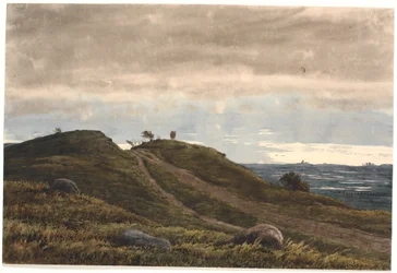 Paysage avec un chemin sablonneux menant par-dessus une colline de lande. À droite, vue sur une vaste étendue de terres avec des tourbières. De la région de Raageleje ?