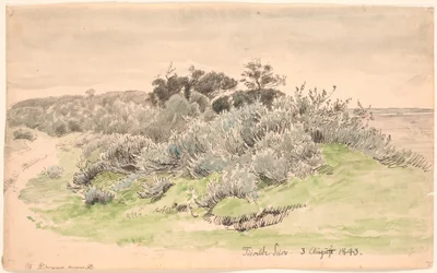 Paysage avec buissons