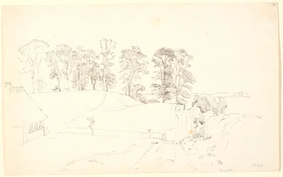 Paysage avec des arbres