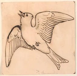 Alouette chantante. Esquisse décorative