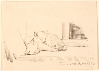Deux chats endormis