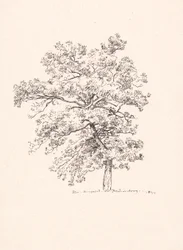 Arbre à Fredensborg