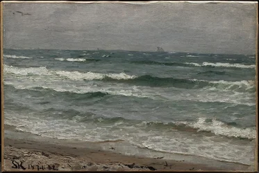 Paysage marin. Skagen