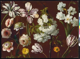 Tulipes violettes, prunus à fleurs blanches, narcisses et chrysanthèmes roses