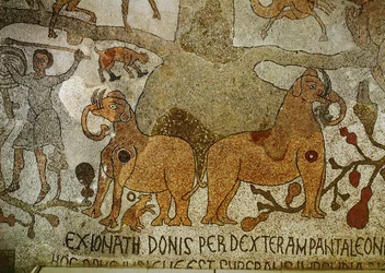 Deux éléphants aux racines de l