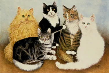 Le berceau du chat