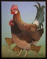Famille de poulet, 2016